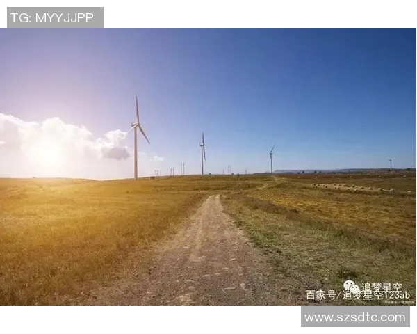 攀岩之路的深度对话：杨芳如何在挑战中绽放人生光彩