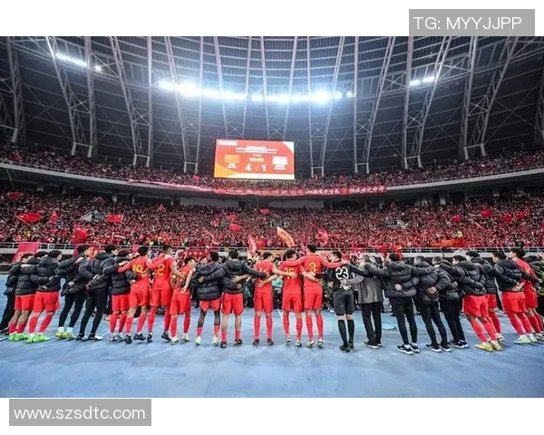 深圳足球队的精神之旅:深度解析球队的文化与信念